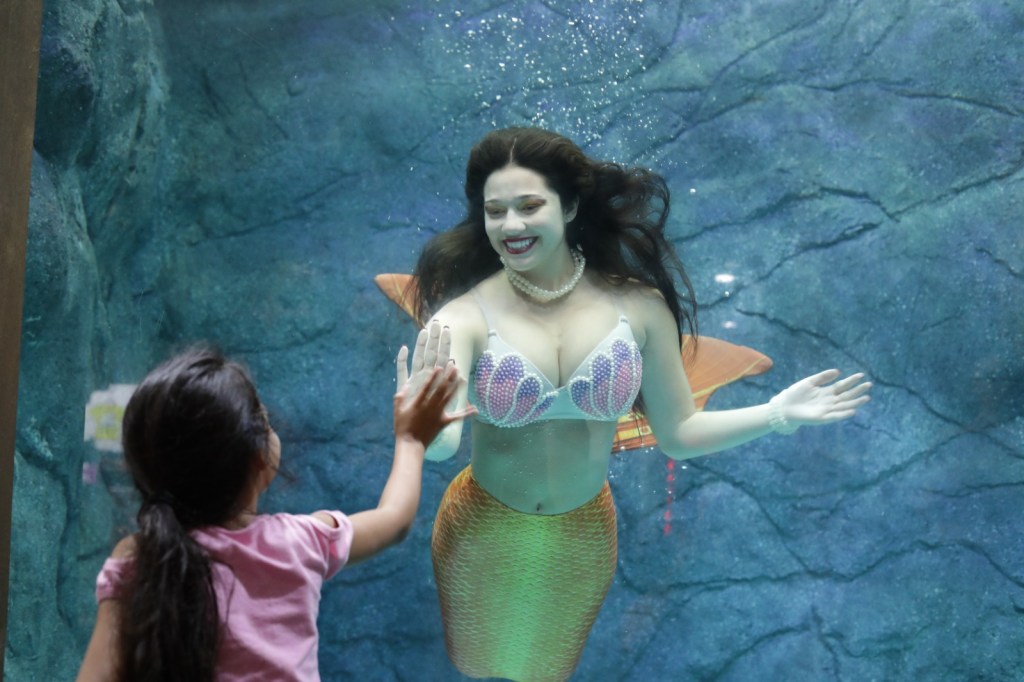 AQUÁRIO DE SÃO PAULO: EDUCAÇÃO AMBIENTAL COM ESPÉCIES DE VÁRIAS PARTES DO&nbsp;MUNDO